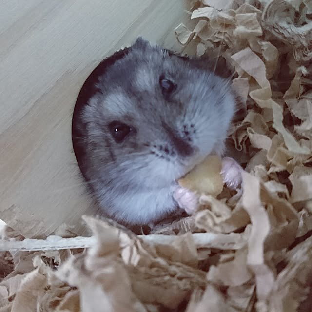 continuesさんの実例写真