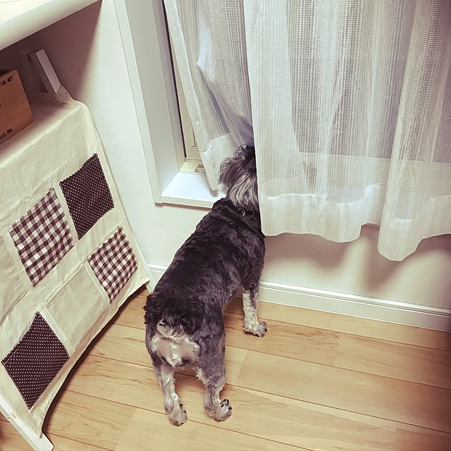 tamaeさんの実例写真