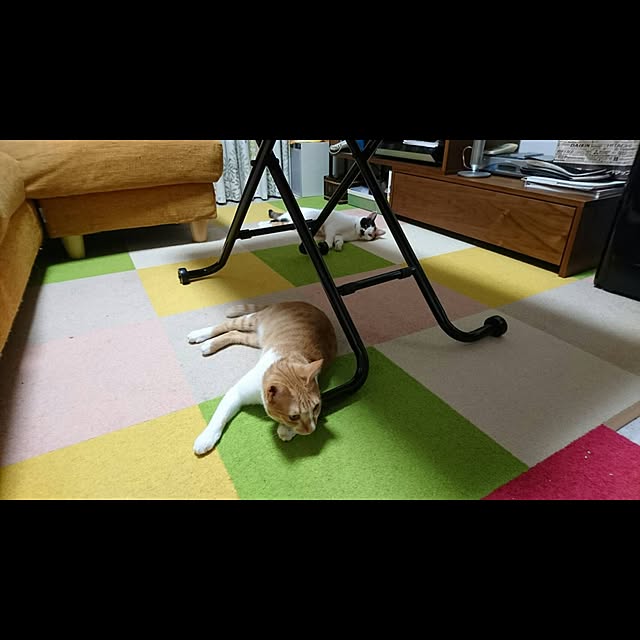 kojiro10101さんの実例写真
