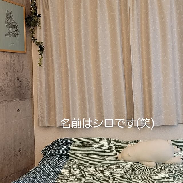 kazuuunさんの実例写真