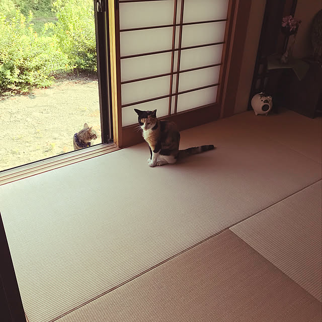 Naomiさんの実例写真