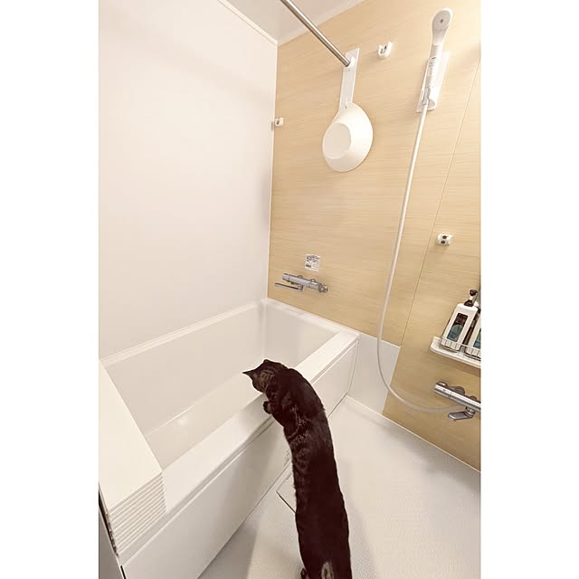 hihaさんの部屋