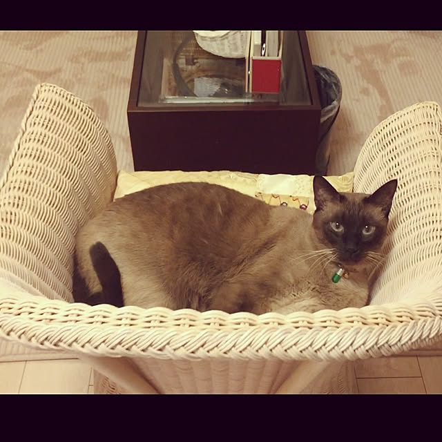 dodoさんの実例写真