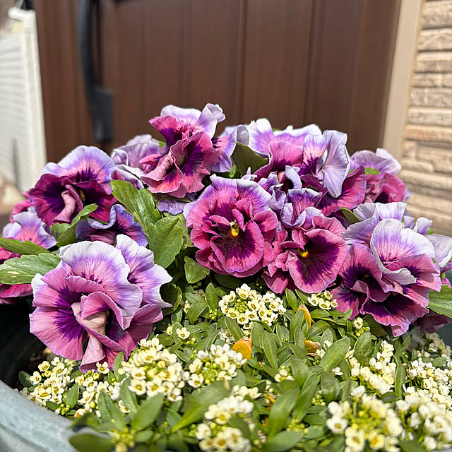 ronronさんの実例写真