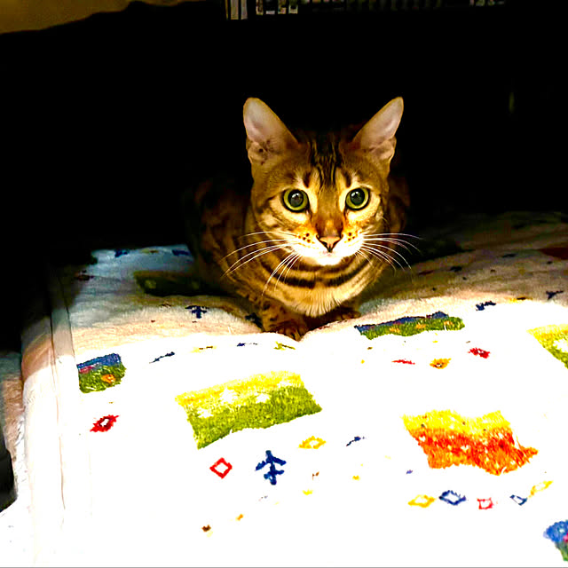 tututu0204さんの部屋