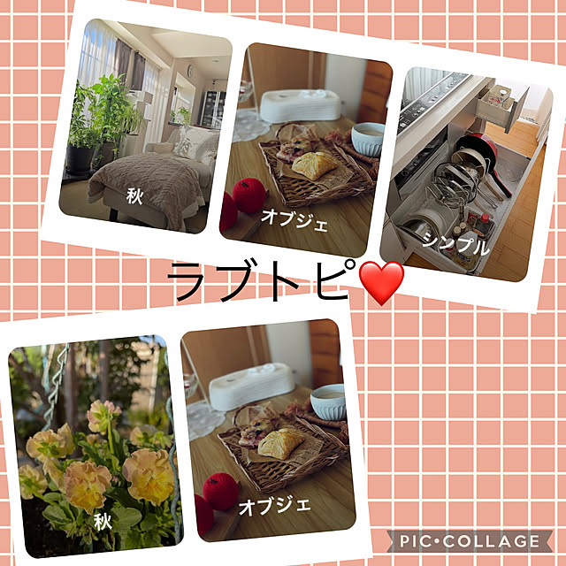 CoCo0617さんの実例写真