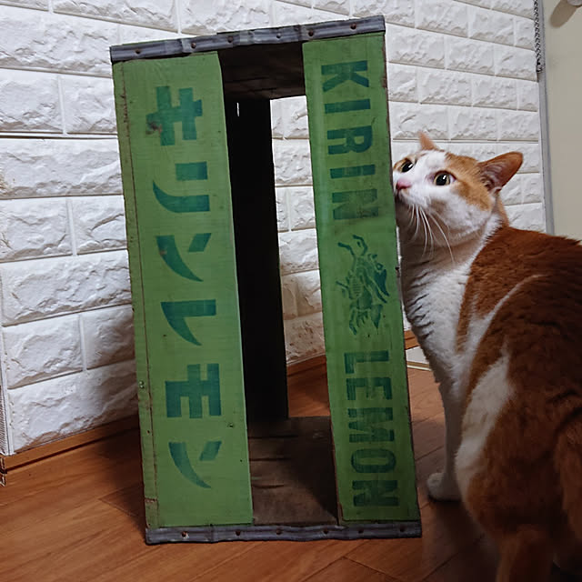 mugi77327732さんの実例写真