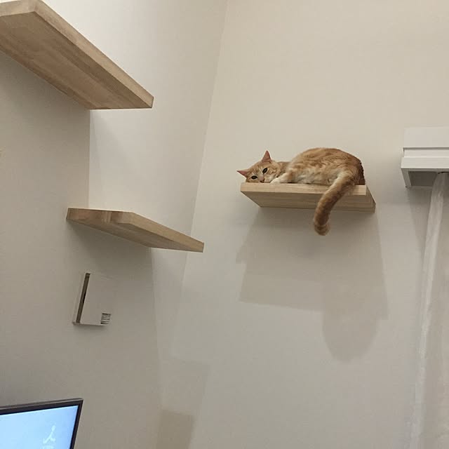 Minakoさんの実例写真