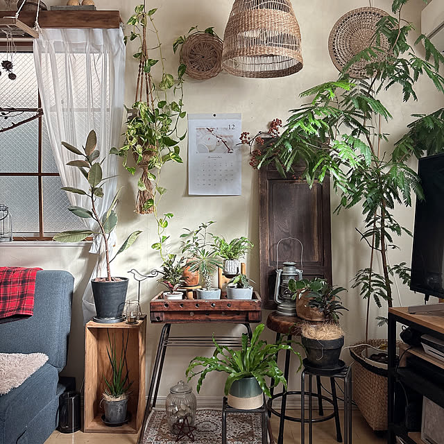 okkunさんの実例写真