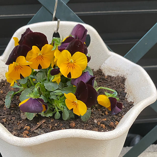 YuuKoさんの実例写真