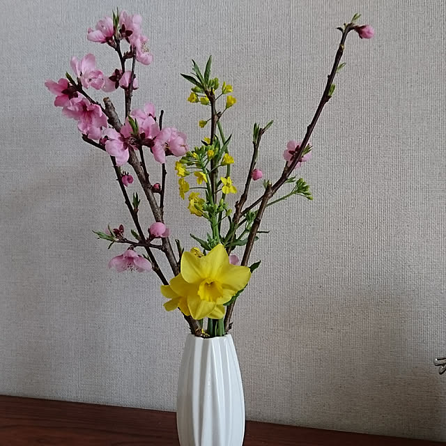 akesanさんの実例写真