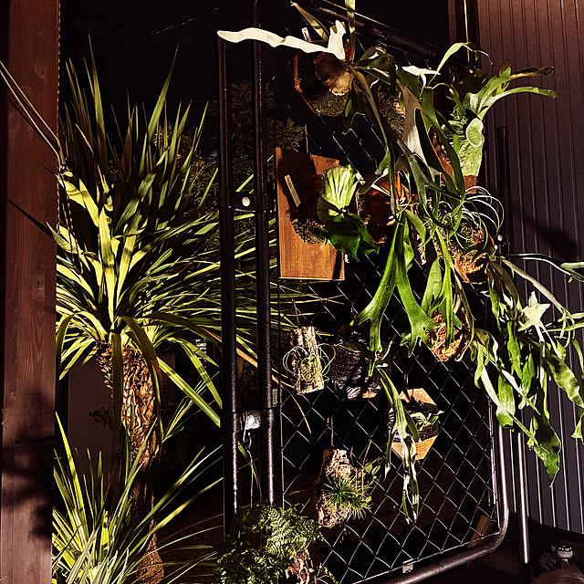 muskfukuokaさんの実例写真