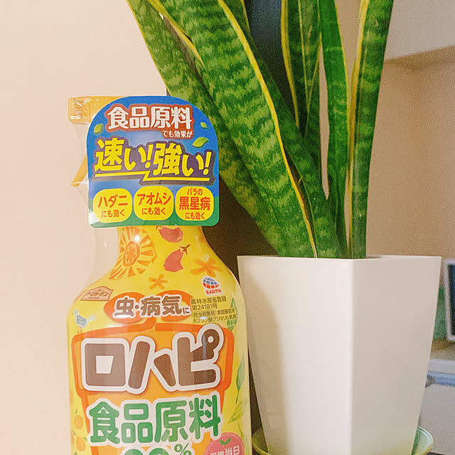 Momooさんの実例写真