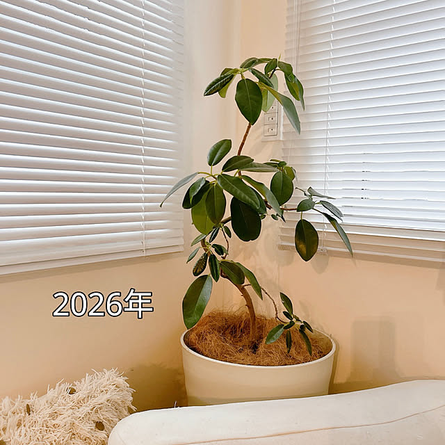 mako2yaさんの部屋