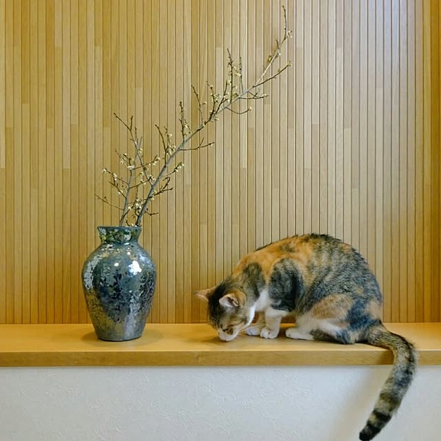 123sgnbさんの実例写真
