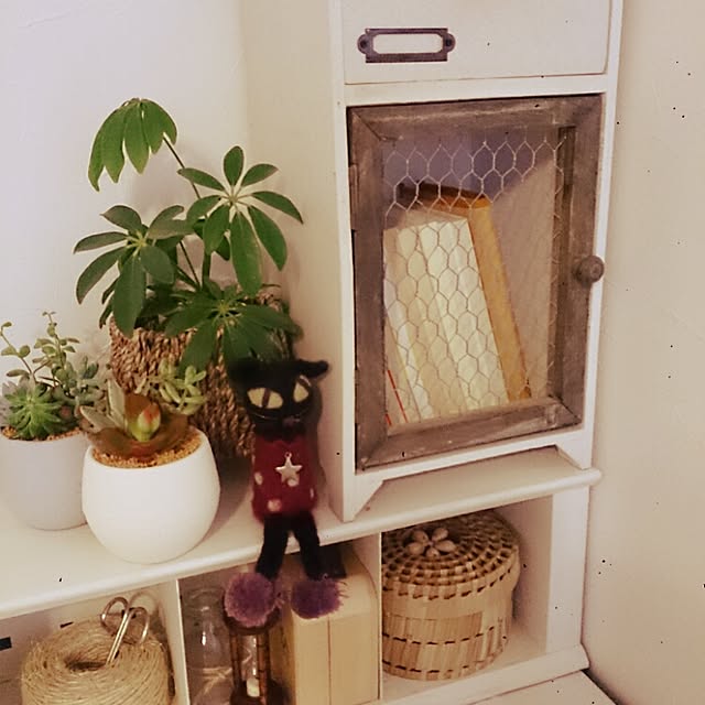 akiさんの実例写真