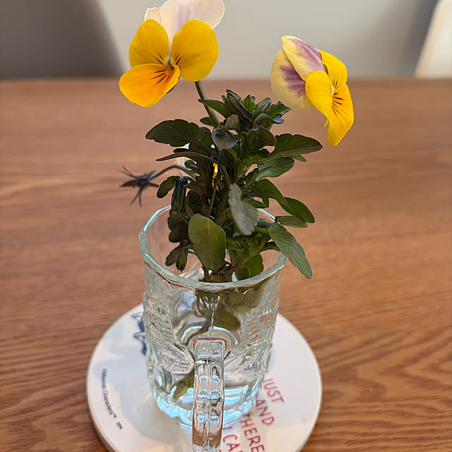 tiroさんの実例写真