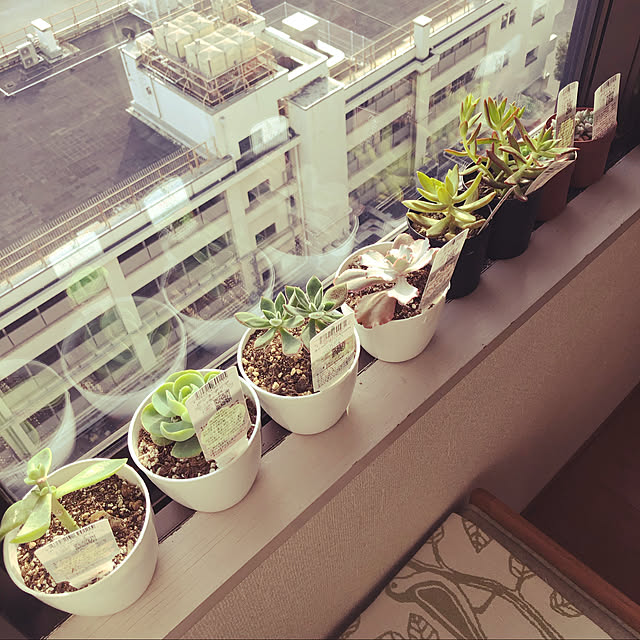 uchidaizuさんの実例写真