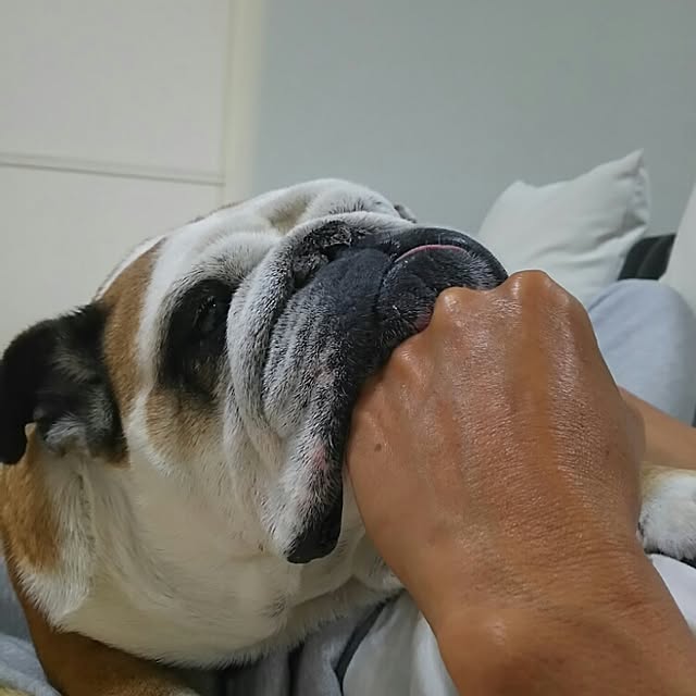 AandPさんの実例写真