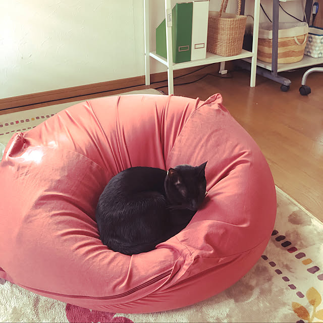 jijiさんの実例写真