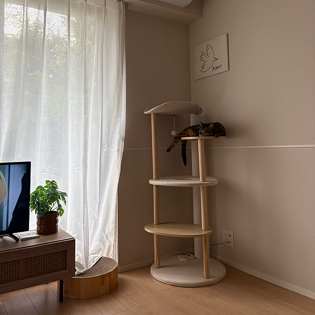 haluさんの実例写真