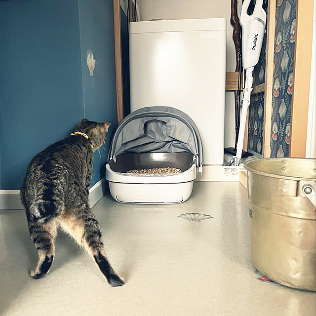 Mさんの実例写真