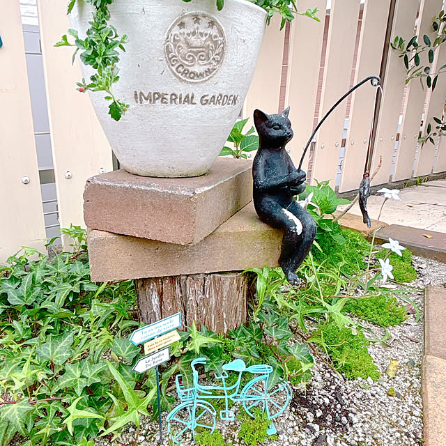moolさんの実例写真