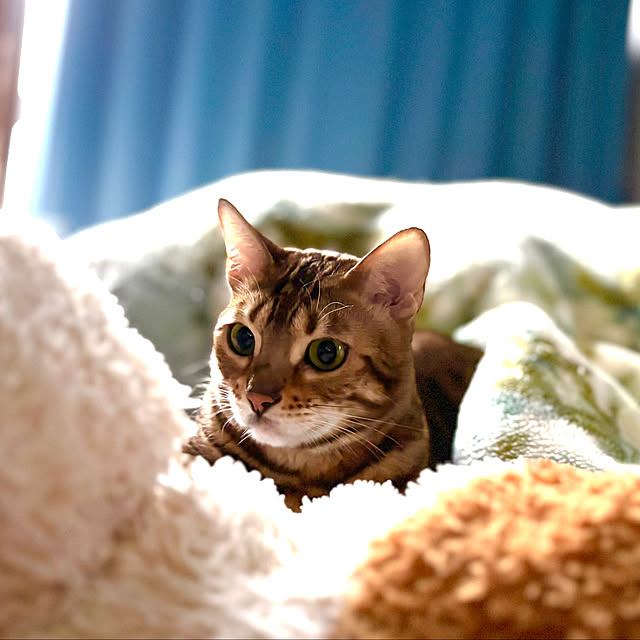 tututu0204さんの実例写真