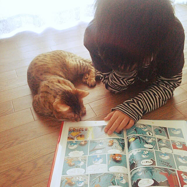 Rabbitさんの実例写真