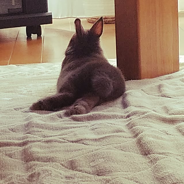 yuiさんの実例写真