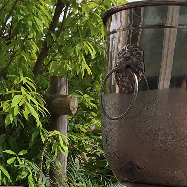 kiriさんの実例写真