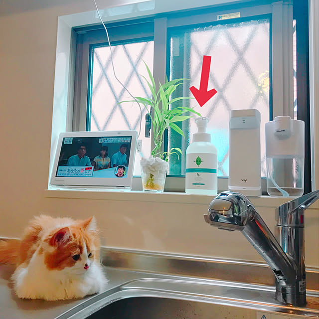 H.Tさんの実例写真