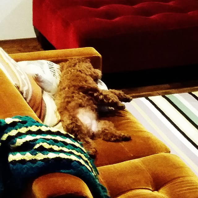 mikiさんの実例写真