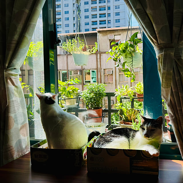 pcu110さんの部屋