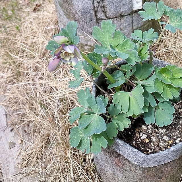 t.yumiさんの部屋