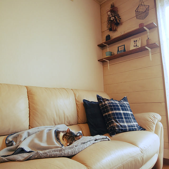 tomo1220さんの実例写真