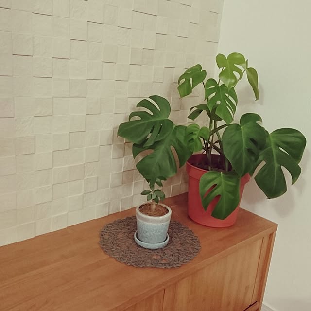 junaさんの実例写真