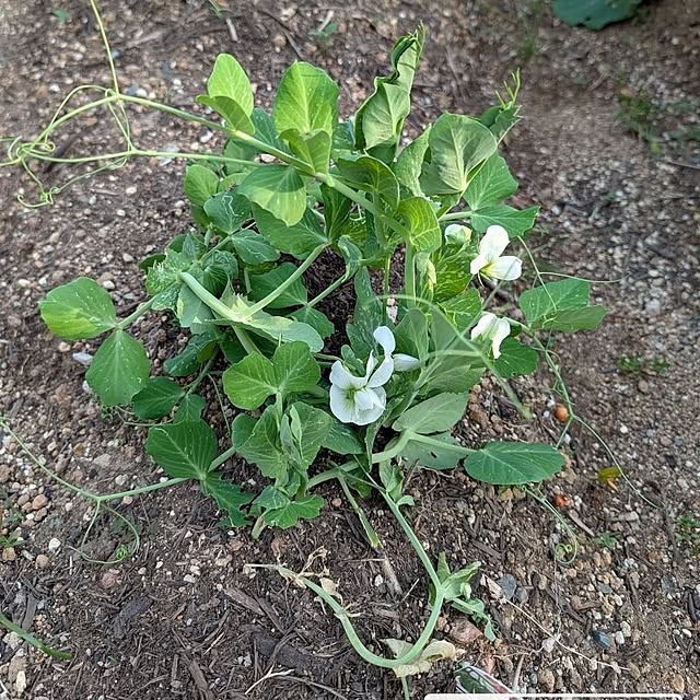 fuchan0930さんの部屋