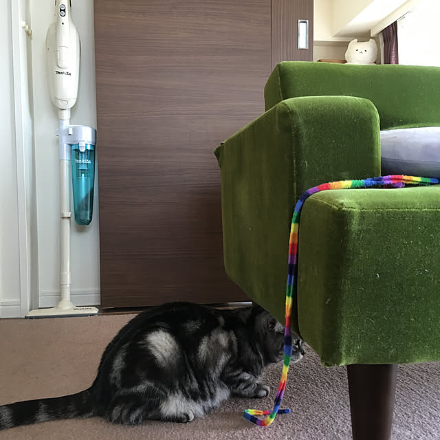 mikomaruさんの実例写真
