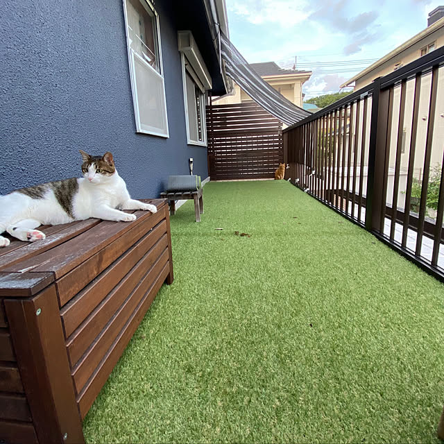 ttoさんの実例写真