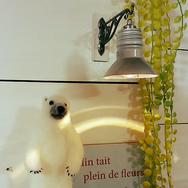 jankenkenさんの実例写真