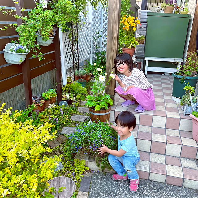 hinamamaさんの実例写真