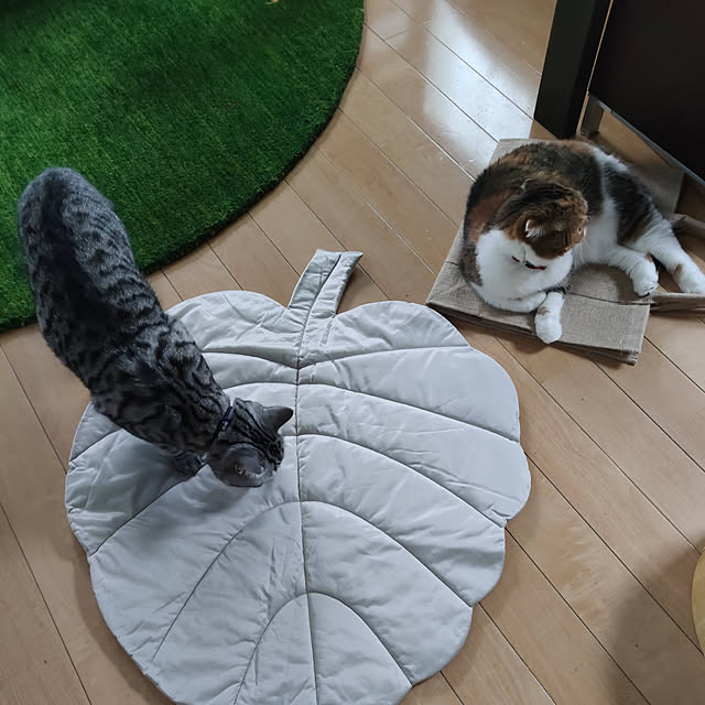 hiro3さんの実例写真