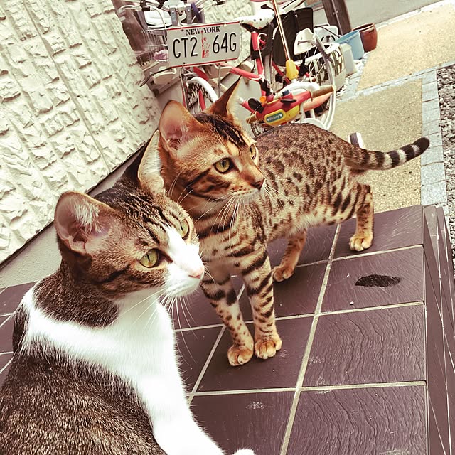 be-mineさんの実例写真