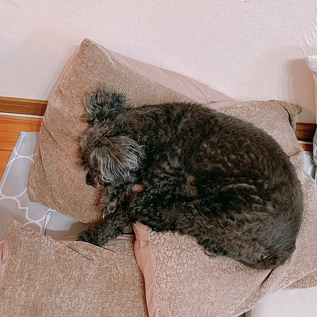 Chipさんの実例写真