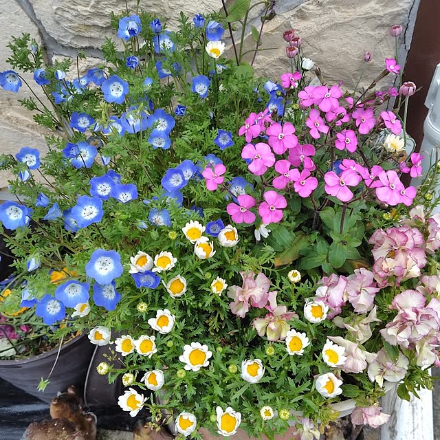 kaokaokaoさんの部屋