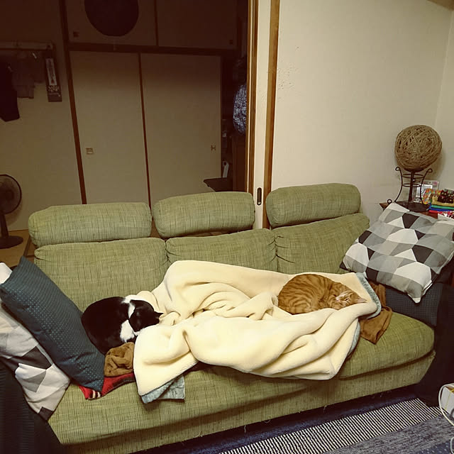 okyosan101さんの実例写真