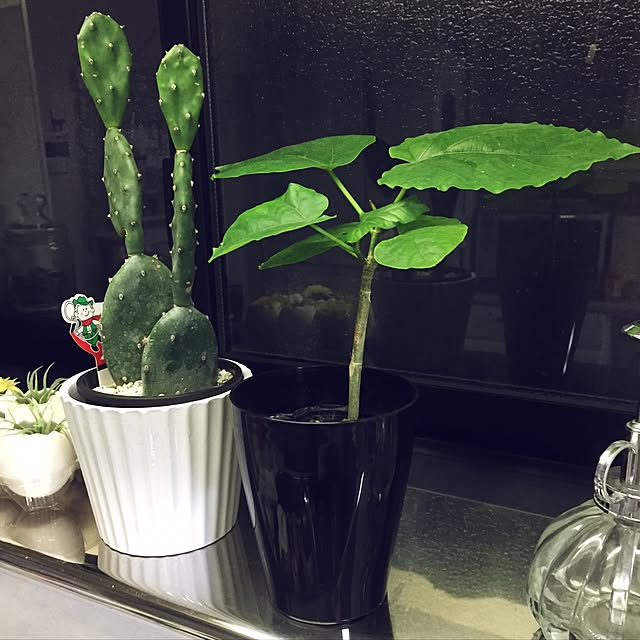 CoffeeHouseさんの実例写真