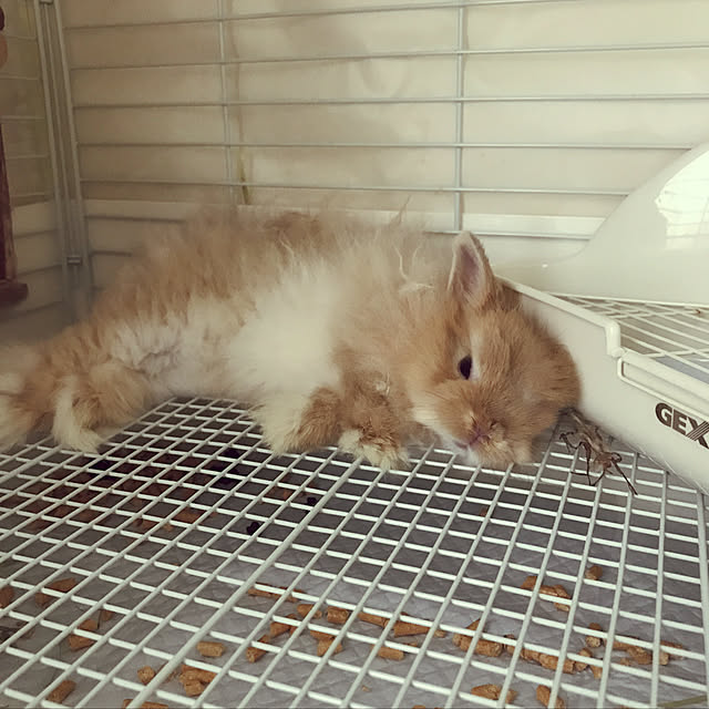 mさんの実例写真