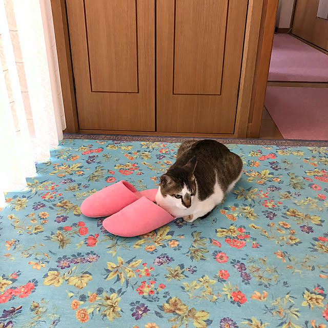 haruminさんの実例写真